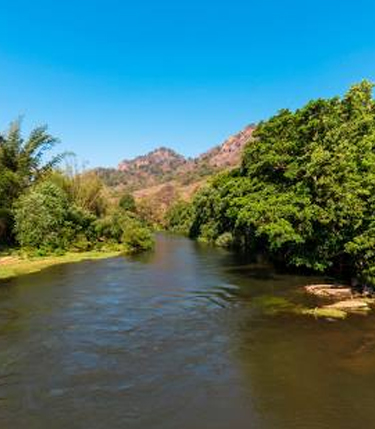 Bavani River & Moyar River Survey